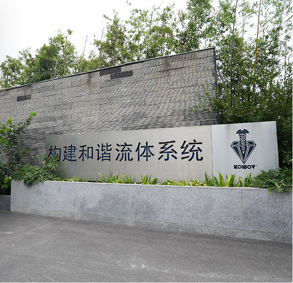 全球标准，本地服务